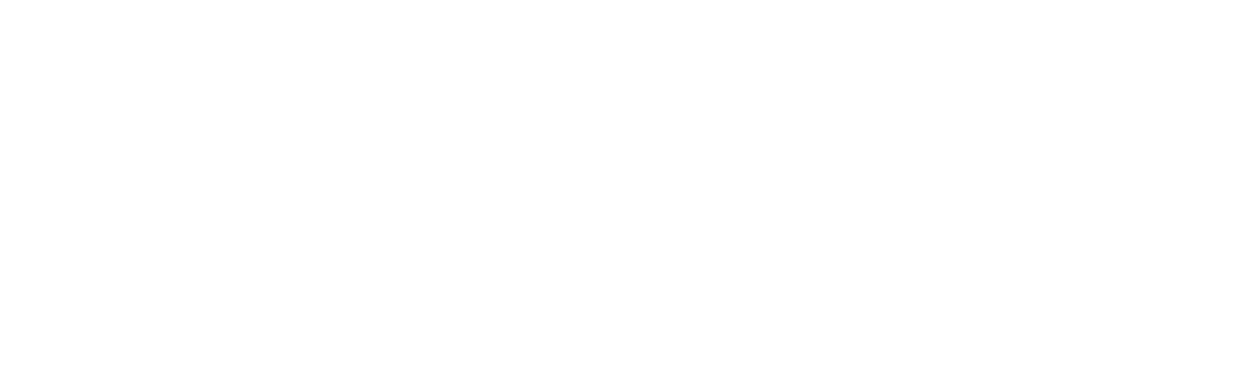 White Martin Door logo