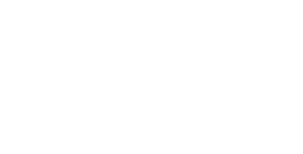 anlin-logo