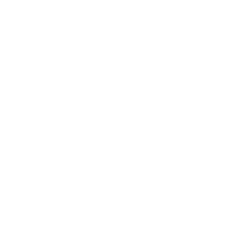 White Western Windows Systems logo